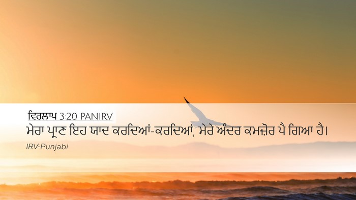 ਵਿਰਲਾਪ 3:20 PANIRV Bible Verse Image