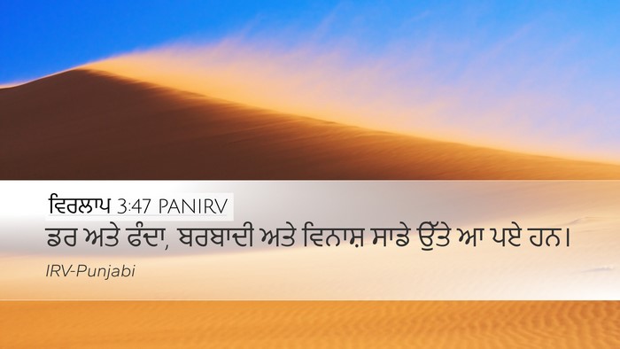 ਵਿਰਲਾਪ 3:47 PANIRV Bible Verse Image