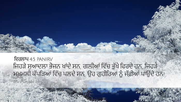 ਵਿਰਲਾਪ 4:5 PANIRV Bible Verse Image
