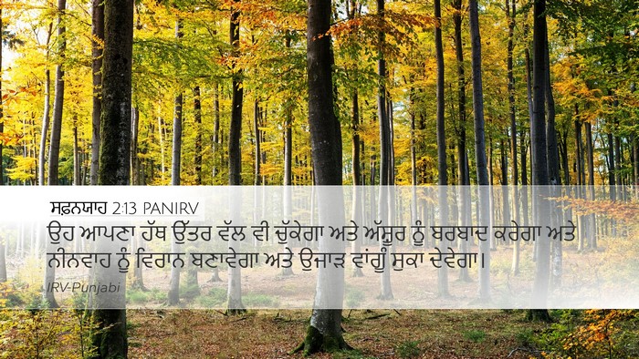ਸਫ਼ਨਯਾਹ 2:13 PANIRV Bible Verse Image