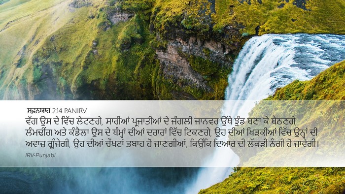 ਸਫ਼ਨਯਾਹ 2:14 PANIRV Bible Verse Image