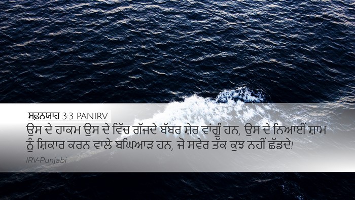 ਸਫ਼ਨਯਾਹ 3:3 PANIRV Bible Verse Image