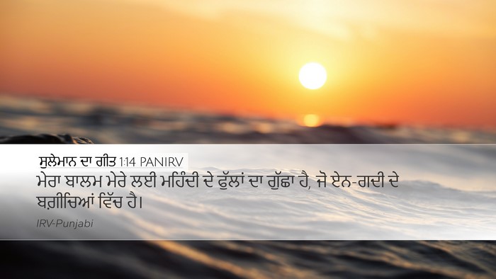 ਸੁਲੇਮਾਨ ਦਾ ਗੀਤ 1:14 PANIRV Bible Verse Image
