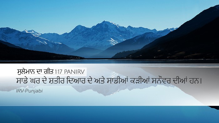 ਸੁਲੇਮਾਨ ਦਾ ਗੀਤ 1:17 PANIRV Bible Verse Image