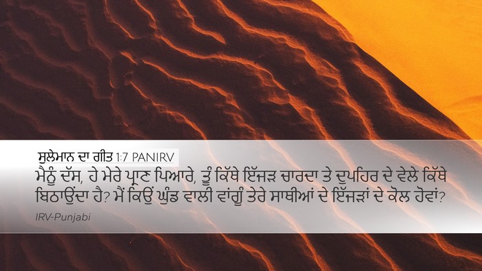 ਸੁਲੇਮਾਨ ਦਾ ਗੀਤ 1:7 PANIRV Bible Verse Image