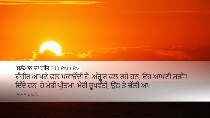 ਸੁਲੇਮਾਨ ਦਾ ਗੀਤ 2:13 PANIRV Desktop Wallpaper - ਹੰਜ਼ੀਰ ਆਪਣੇ ਫਲ - Desktop Bible Verse Wallpaper
