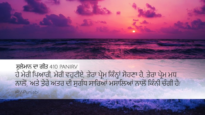 ਸੁਲੇਮਾਨ ਦਾ ਗੀਤ 4:10 PANIRV Bible Verse Image