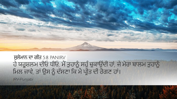 ਸੁਲੇਮਾਨ ਦਾ ਗੀਤ 5:8 PANIRV Bible Verse Image