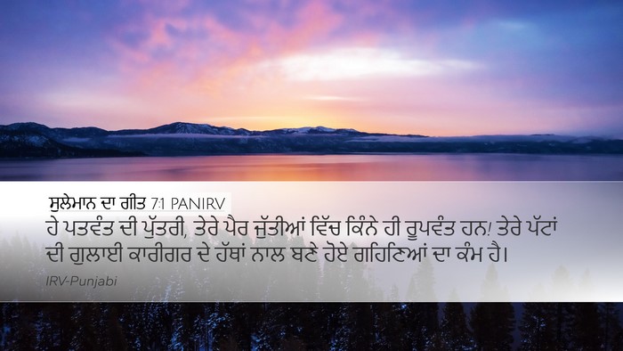 ਸੁਲੇਮਾਨ ਦਾ ਗੀਤ 7:1 PANIRV Bible Verse Image