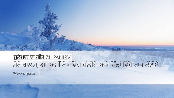 ਸੁਲੇਮਾਨ ਦਾ ਗੀਤ 7:11 PANIRV Bible Verse Image