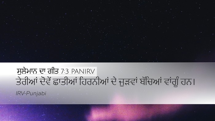 ਸੁਲੇਮਾਨ ਦਾ ਗੀਤ 7:3 PANIRV Desktop Wallpaper - ਤੇਰੀਆਂ ਦੋਵੇਂ - Desktop Bible Verse Wallpaper