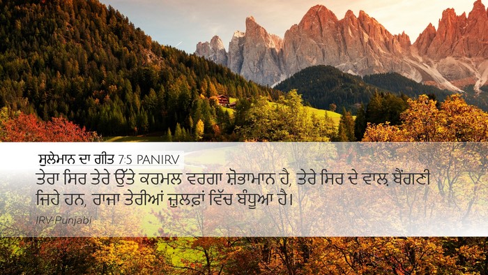 ਸੁਲੇਮਾਨ ਦਾ ਗੀਤ 7:5 PANIRV Bible Verse Image
