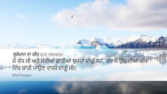 ਸੁਲੇਮਾਨ ਦਾ ਗੀਤ 8:10 PANIRV Bible Verse Image