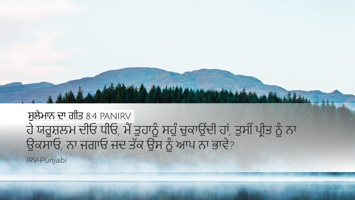 ਸੁਲੇਮਾਨ ਦਾ ਗੀਤ 8:4 PANIRV Bible Verse Image