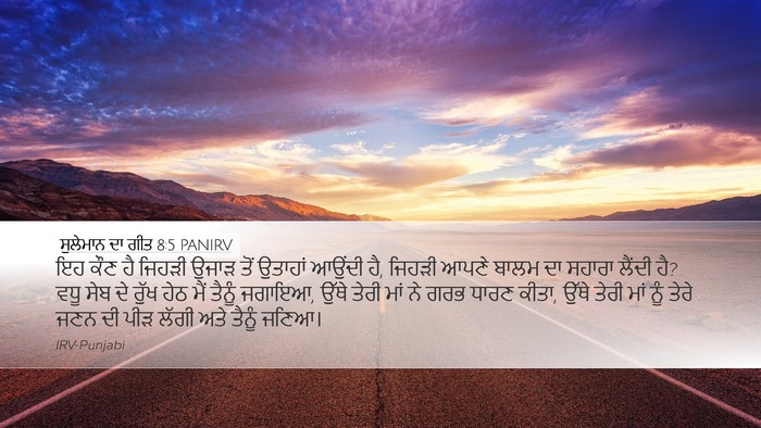 ਸੁਲੇਮਾਨ ਦਾ ਗੀਤ 8:5 PANIRV Bible Verse Image