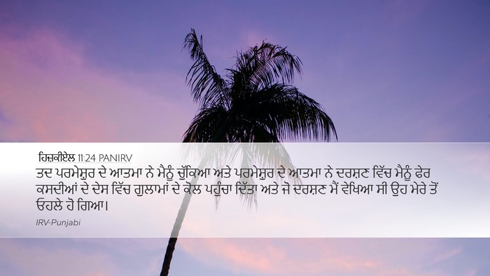 ਹਿਜ਼ਕੀਏਲ 11:24 PANIRV Bible Verse Image