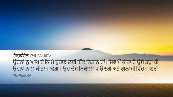 ਹਿਜ਼ਕੀਏਲ 12:11 PANIRV Bible Verse Image