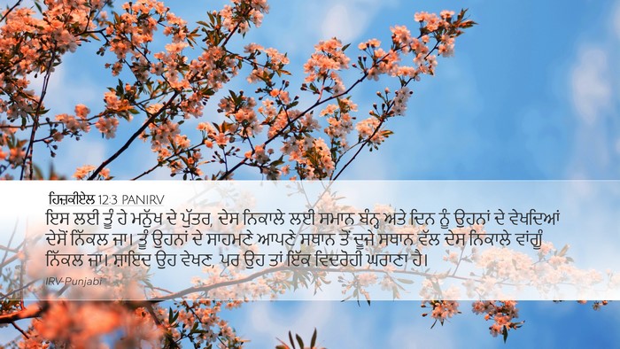 ਹਿਜ਼ਕੀਏਲ 12:3 PANIRV Bible Verse Image