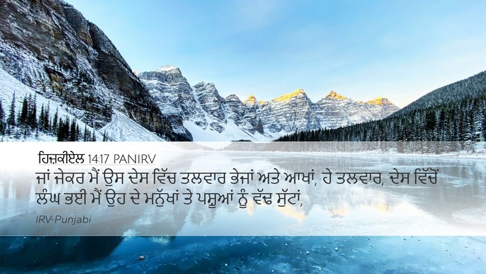 ਹਿਜ਼ਕੀਏਲ 14:17 PANIRV Bible Verse Image