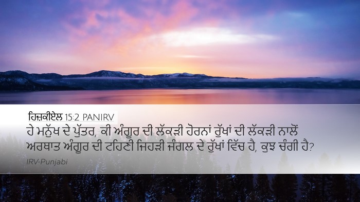 ਹਿਜ਼ਕੀਏਲ 15:2 PANIRV Bible Verse Image