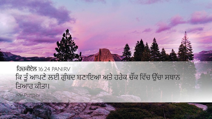 ਹਿਜ਼ਕੀਏਲ 16:24 PANIRV Bible Verse Image