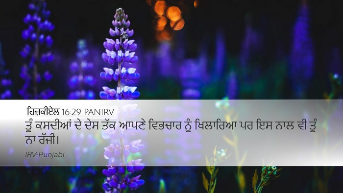 ਹਿਜ਼ਕੀਏਲ 16:29 PANIRV Bible Verse Image