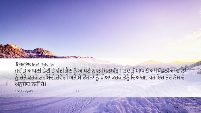 ਹਿਜ਼ਕੀਏਲ 16:61 PANIRV Bible Verse Image