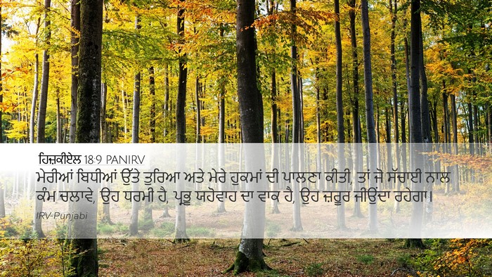 ਹਿਜ਼ਕੀਏਲ 18:9 PANIRV Bible Verse Image