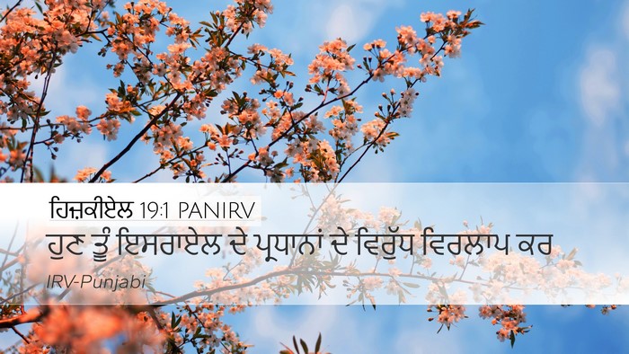 ਹਿਜ਼ਕੀਏਲ 19:1 PANIRV Desktop Wallpaper - ਹੁਣ ਤੂੰ ਇਸਰਾਏਲ ਦੇ - Desktop Bible Verse Wallpaper