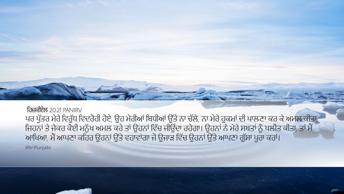 ਹਿਜ਼ਕੀਏਲ 20:21 PANIRV Bible Verse Image