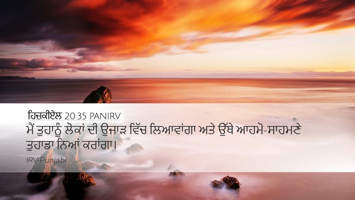 ਹਿਜ਼ਕੀਏਲ 20:35 PANIRV Bible Verse Image