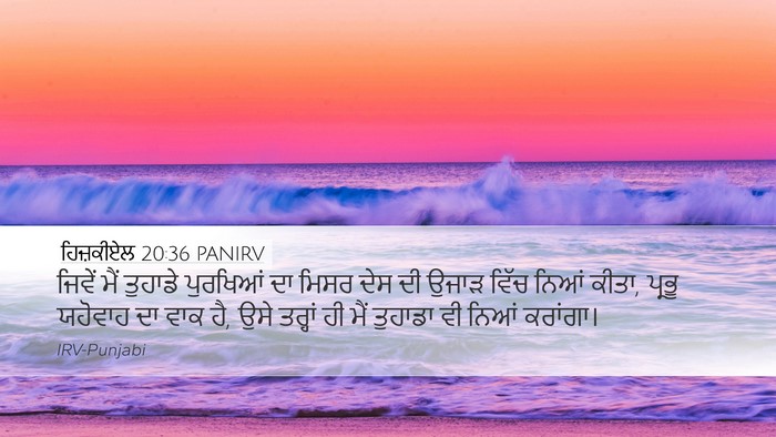 ਹਿਜ਼ਕੀਏਲ 20:36 PANIRV Bible Verse Image