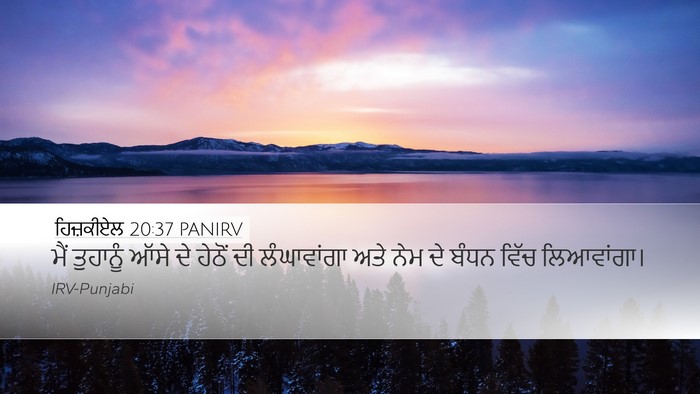 ਹਿਜ਼ਕੀਏਲ 20:37 PANIRV Bible Verse Image
