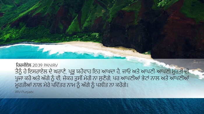 ਹਿਜ਼ਕੀਏਲ 20:39 PANIRV Bible Verse Image