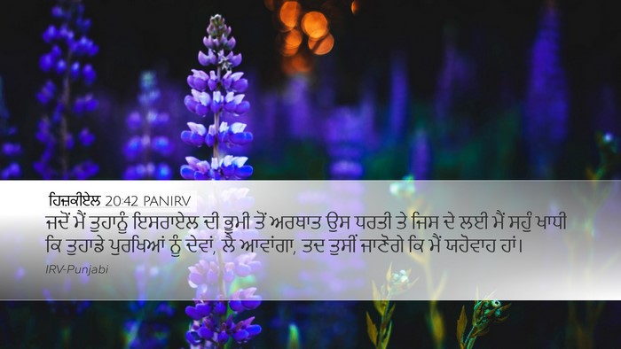 ਹਿਜ਼ਕੀਏਲ 20:42 PANIRV Bible Verse Image