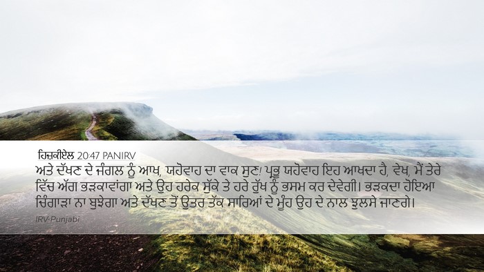 ਹਿਜ਼ਕੀਏਲ 20:47 PANIRV Bible Verse Image