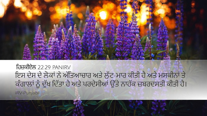 ਹਿਜ਼ਕੀਏਲ 22:29 PANIRV Bible Verse Image