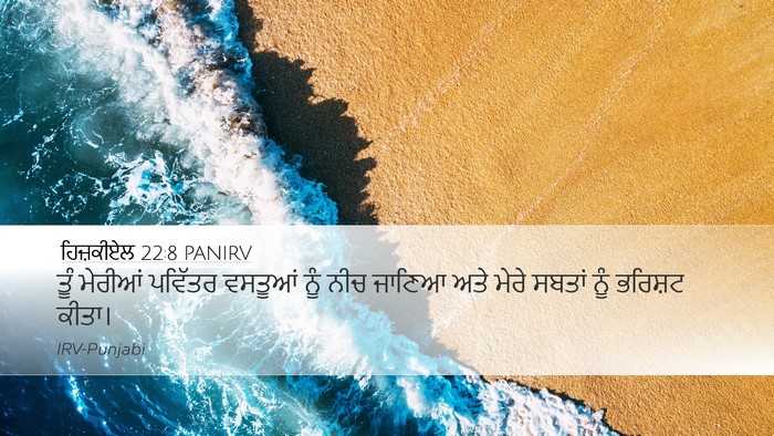 ਹਿਜ਼ਕੀਏਲ 22:8 PANIRV Bible Verse Image