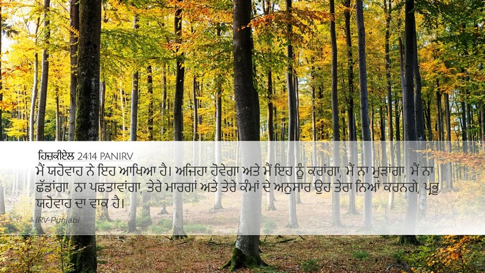 ਹਿਜ਼ਕੀਏਲ 24:14 PANIRV Bible Verse Image
