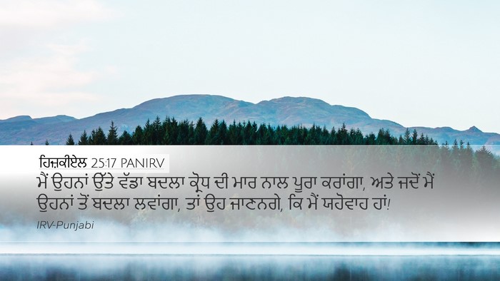 ਹਿਜ਼ਕੀਏਲ 25:17 PANIRV Bible Verse Image