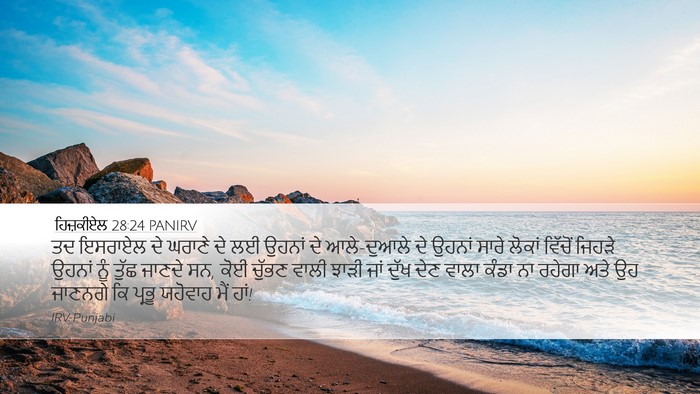 ਹਿਜ਼ਕੀਏਲ 28:24 PANIRV Bible Verse Image