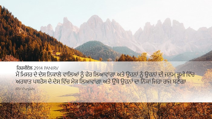 ਹਿਜ਼ਕੀਏਲ 29:14 PANIRV Bible Verse Image