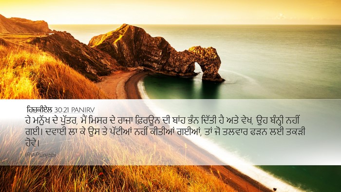 ਹਿਜ਼ਕੀਏਲ 30:21 PANIRV Bible Verse Image