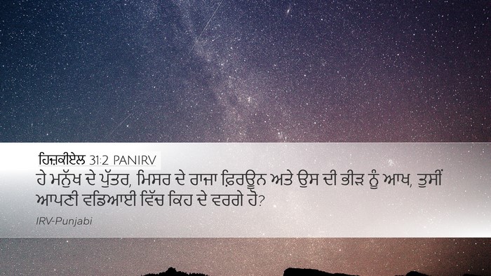 ਹਿਜ਼ਕੀਏਲ 31:2 PANIRV Bible Verse Image