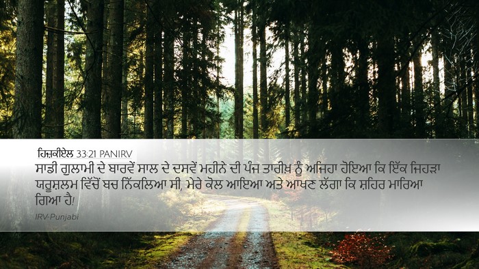 ਹਿਜ਼ਕੀਏਲ 33:21 PANIRV Bible Verse Image