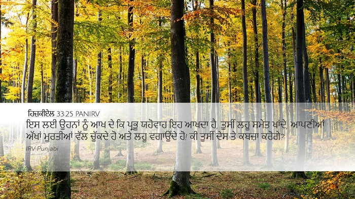 ਹਿਜ਼ਕੀਏਲ 33:25 PANIRV Bible Verse Image