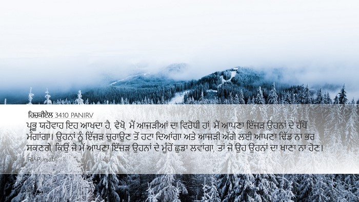 ਹਿਜ਼ਕੀਏਲ 34:10 PANIRV Bible Verse Image