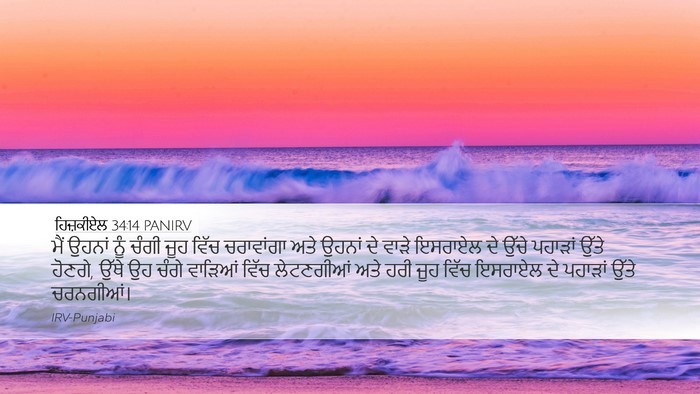 ਹਿਜ਼ਕੀਏਲ 34:14 PANIRV Bible Verse Image