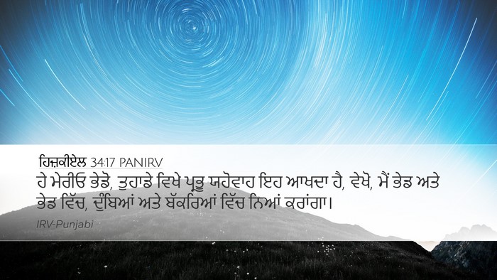 ਹਿਜ਼ਕੀਏਲ 34:17 PANIRV Bible Verse Image