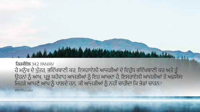 ਹਿਜ਼ਕੀਏਲ 34:2 PANIRV Bible Verse Image